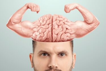 Jak działa nasz mózg i jak go trenować?